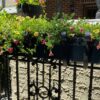 Decorative wrought iron railing planter, painted black, at private residence in New York City (Item 93-0-03)