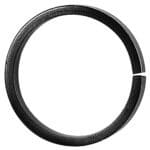 Ornamental Ring (48-0-01)
