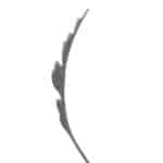 Hot Forged Double-Faced Steel Leaf (P606S)