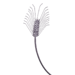 Hand-forged Wheat Leaf Finial